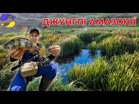 Видео: ОКУНІ ЛАПТІ на ДИКІЙ РІЧЦІ!!