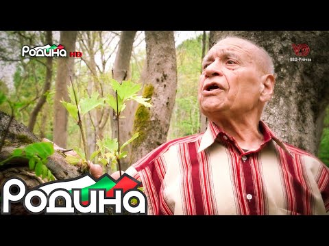 Видео: "БОЛЕН ЛЕЖИ МЛАД СТОЯН" - ЕМИЛ РИСТОСКОВ&ВАНЯ НАЙДЕНОВА/"BOLEN LEJI MLAD STOYAN" RISTOSKOV&NAYDENOVA