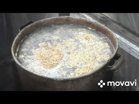 Видео: ракетная печь