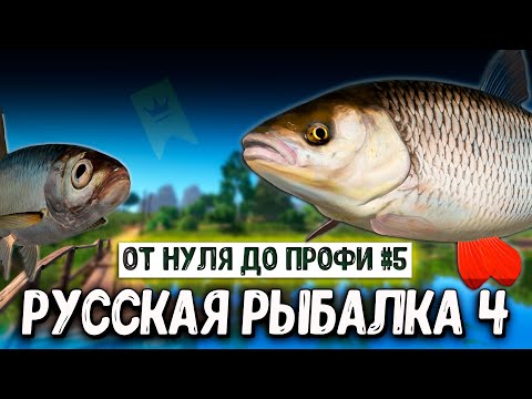 Видео: RF4 ПЕРВЫЕ ТРОФЕИ, ФАРМЫ, НОВЫЕ ЦЕЛИ И ПЛАНЫ #рр4