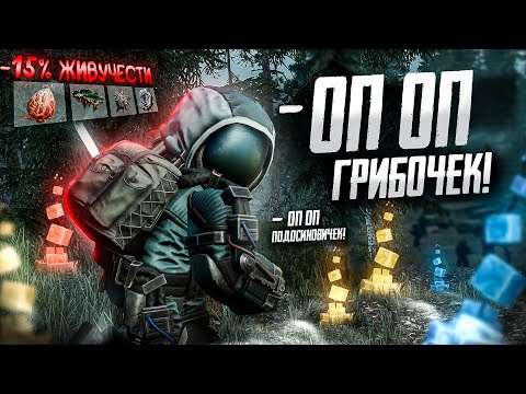 Видео: Выживание БОМЖА без БАРТЕРА #2. Вкусная МЯКОТЬ или минус НЕРВЫ в СТАЛКРАФТ:X | STALCRAFT:X