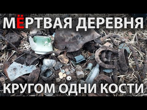 Видео: Шурф на мертвой деревне, вокруг одни кости. Коп 2020