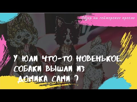 Видео: 🔴🔴Собаки вышли сами из домика? У Юли что-то новенькое? Обзор на Стул. virgo elysium x 29 white pink.