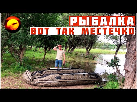 Видео: НА РЫБАЛКЕ СЕРДЦЕ БЬЕТСЯ ЧАЩЕ / БУДУ ЛОВИТЬ ЗДЕСЬ ТИХО