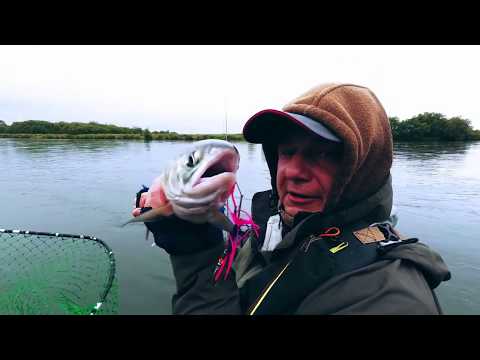 Видео: Камчатка 2019. Кижуч реки Большая спиннинг и нахлыст.