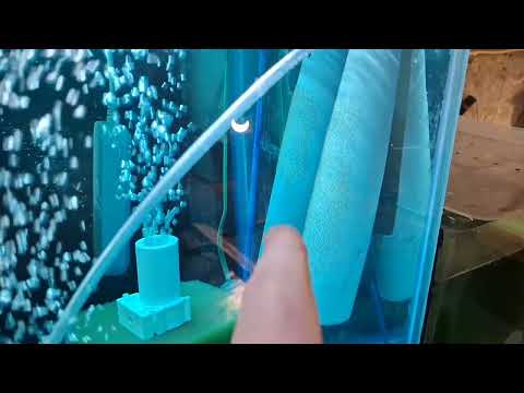 Видео: #Пополнения рыбасиков )