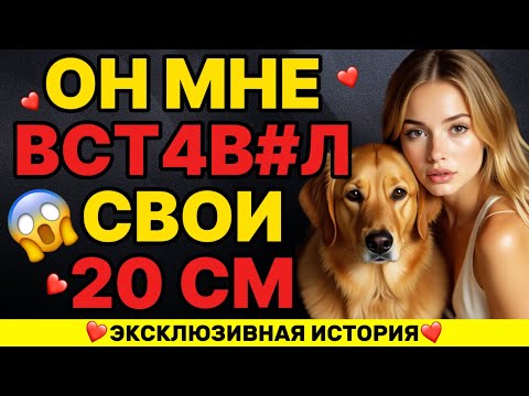 Видео: Мой пёс сделал то, что ни один человекникогда не смог...