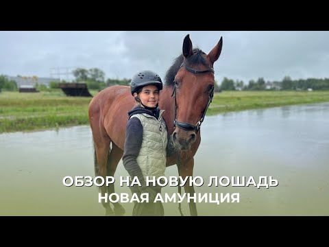 Видео: ОБЗОР НА НОВУЮ ЛОЩАДЬ