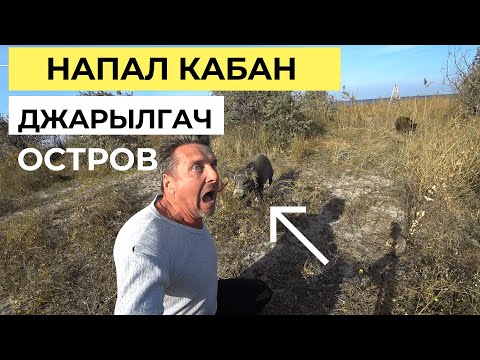 Видео: Остров Джарылгач. Напал дикий кабан. Супер Уха, рецепт(акула, кефаль, камбала, глось) 2серия