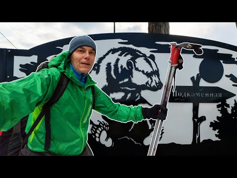 Видео: Полуспортивная прогулка в глухих местах Олхинского Плато. Атака клеща. Волк пересёк дорогу.