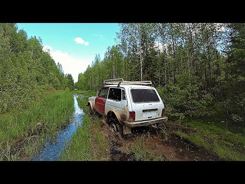 Видео: “ЖЕСТОКАЯ” ЭКСПЕДИЦИЯ! ЗИМНИК.. БОЛОТА.. ОДИН ПРОБИРАЮСЬ В ИСЧЕЗНУВШЕЮ СТАРИННУЮ ДЕРЕВНЮ!