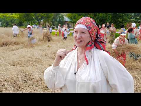 Видео: «ПОЕХАЛИ!» 20.08.2020