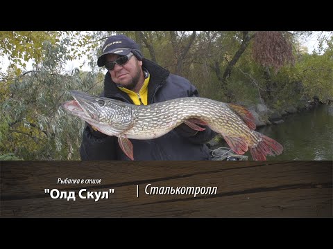 Видео: Сталькотролл. Рыбалка в стиле "Олд Скул". 5 серия