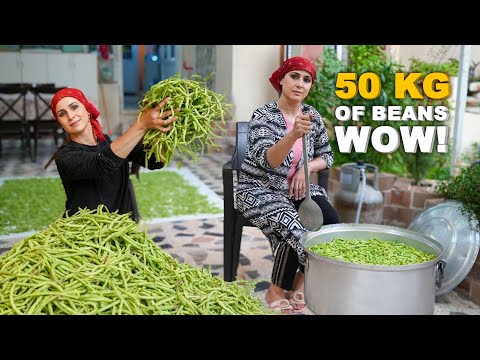 Видео: Что я сделала с 50 килограммами фасоли? 😱🍃 Смотрите сами!