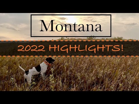 Видео: Монтана — ГЛАВНЫЕ СОБЫТИЯ 2022 ГОДА! Море событий!