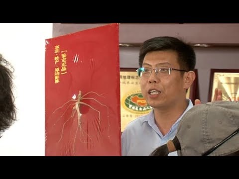 Видео: Корень растения, которому 200 лет, удалось увидеть корреспонденту Телемикса