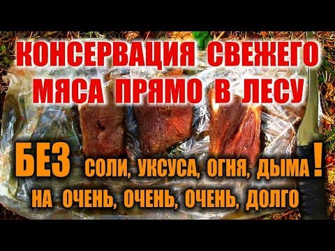 Видео: КАК СОХРАНИТЬ МЯСО. КОНСЕРВАЦИЯ МЯСА, ВЯЛЕНОЕ МЯСО  в лесу без соли, дыма, огня и уксуса.