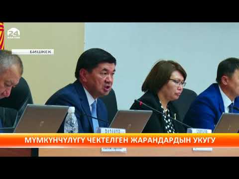 Видео: КР мүмкүнчүлүгү чектелген жарандардын укугу тууралуу БУУнун конвенциясын ратификациялоого даяр