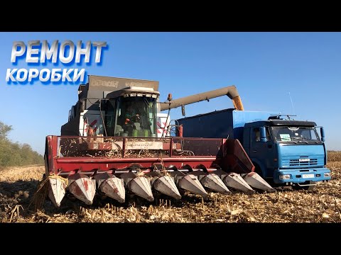Видео: И снова КОРОБКА на КАМАЗЕ / Уборка КУКУРУЗЫ
