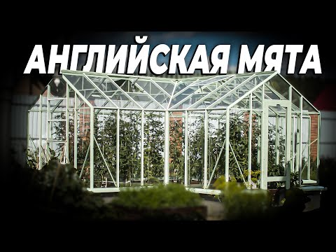 Видео: Мятная теплица в английском стиле