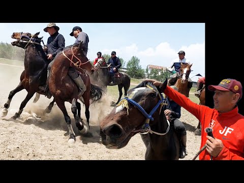 Видео: Суусамыр түштүктүн эле эмес, түндүктүнда аттарын алат 👆