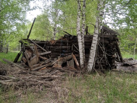 Видео: Нижегородские леса. УЖД Чернораменского ТУ. Покинутый поселок Дальний. Бывшие торфоразработки.