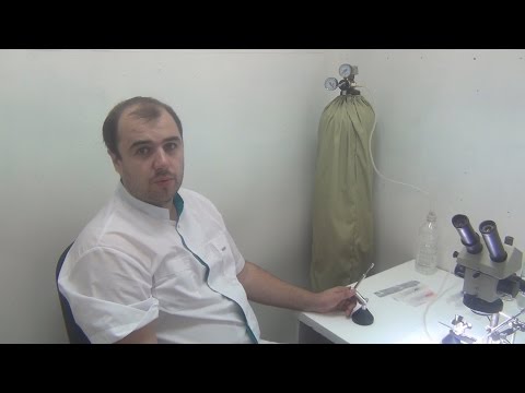 Видео: Лаборатория для инструментального осеменения пчелиных маток