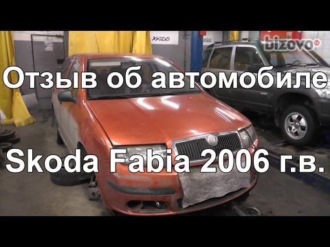 Видео: Отзыв о Шкода Фабия (Skoda Fabia) специалиста автосервиса