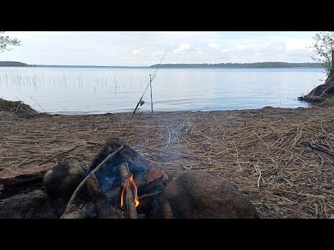 Видео: Озеро Высокинское июнь 2022