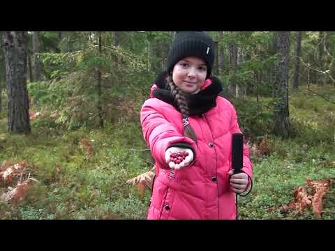 Видео: КОТРА- 2022 год