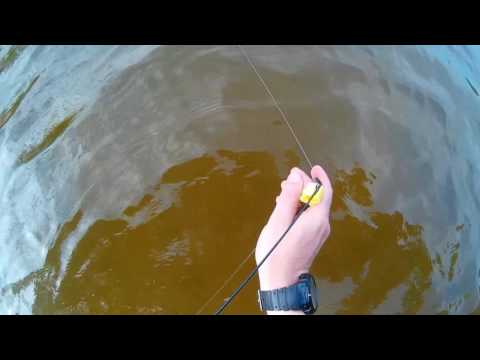 Видео: озеро Яново. Ловля очень мелкого подлещика. НЕПОГОДА. РЫБАЛКА В ВИТЕБСКОЙ ОБЛАСТИ