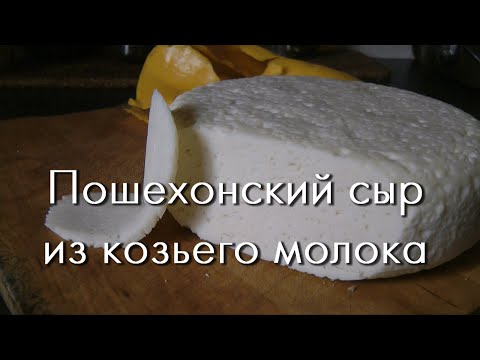 Видео: Твердый сыр дома - Пошехонский из козьего молока