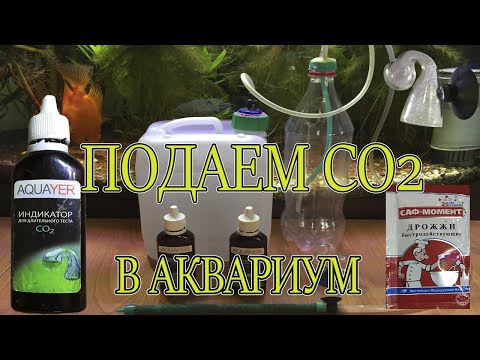 Видео: Подача СО2 в аквариум , баллонная система , бражка .