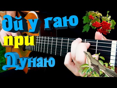 Видео: Ой у гаю при Дунаю на гітарі (Tabs)