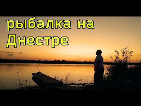 Видео: Тайны рыбалки на Днестре: Удивительная природа и эффективные методы ловли