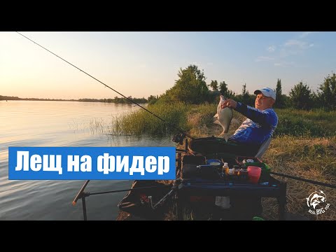Видео: Лещ на фидер, рыбалка на Дону