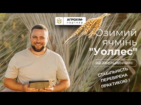 Видео: 🌾 Озимий ячмінь “Уоллес” на Хмельниччині — стабільність, перевірена практикою!