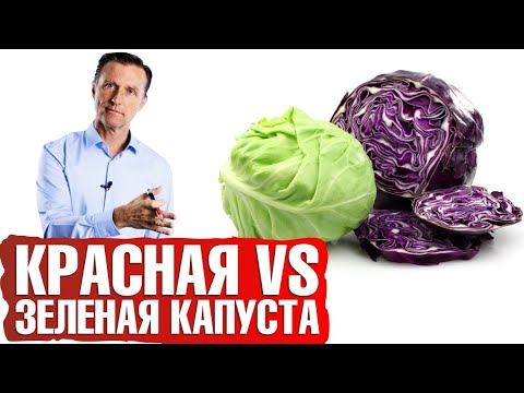 Видео: Польза капусты. Красная капуста VS белокочанная - что полезнее?