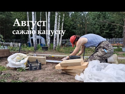 Видео: Дача на Урале №11  Сажаю капусту в августе =)