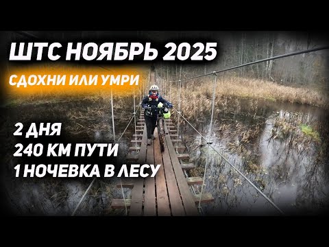 Видео: ШТС осенний 2025