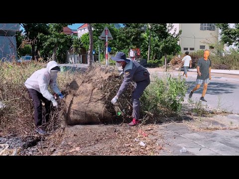 Видео: Я убрал траву и мусор на 6 сторонах перекрестка за 3 дня, используя элементарные инструменты.