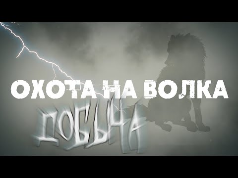 Видео: 3 волка вышли на охотника. Выстрел и попадание в кадре!  Охота на волка с Белорусским волчатником