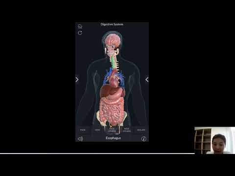 Видео: Кожахметова Н. С. - Шеберлік сыныбы