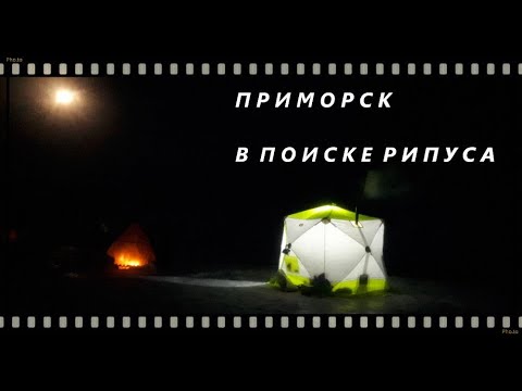 Видео: Зимняя рыбалка в палатке | Приморск