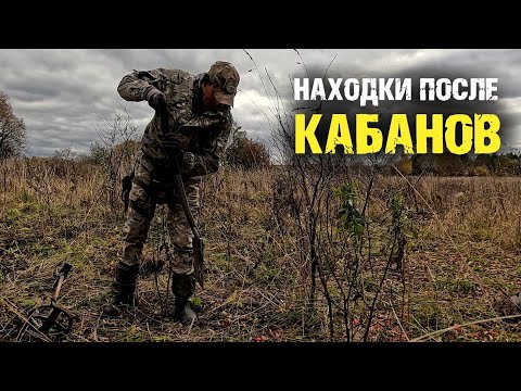 Видео: Как кабаны помогли мне найти монеты