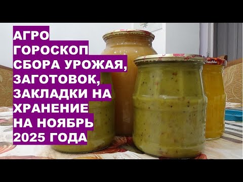 Видео: АГРОгороскоп Сбора и Хранения Урожая на Ноябрь 2025!