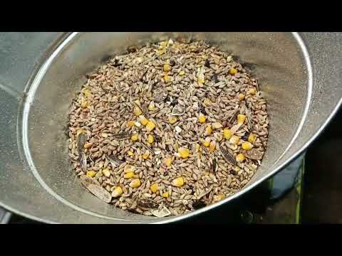 Видео: Гранулятор"Компакт150". 220в с частотником .Обзор работы с замером производительности . Матрица 4 мм