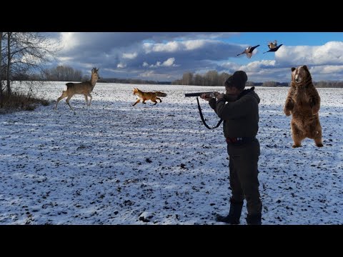 Видео: ТАКОЕ БЫВАЕТ РАЗ В ЖИЗНИ!!!  Лучшие Моменты Охоты с Гладкостволом.