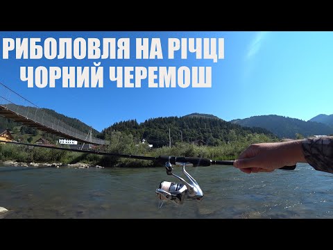 Видео: Рыбалка на реке Черный Черемош + форельное хозяйство "Семь Источников"