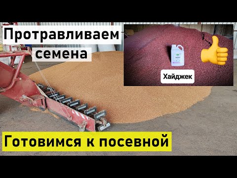 Видео: Протравливаем семена | Готовимся к посеву | 6 октября 2024